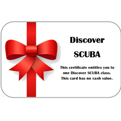Discover Scuba Gift Card 